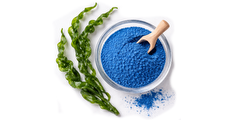 Μπλε Σπιρουλίνα βιολογική (Blue Spirulina organic)  - υπέρ τροφές