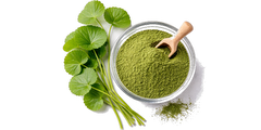Gotu kola - υπέρ τροφές
